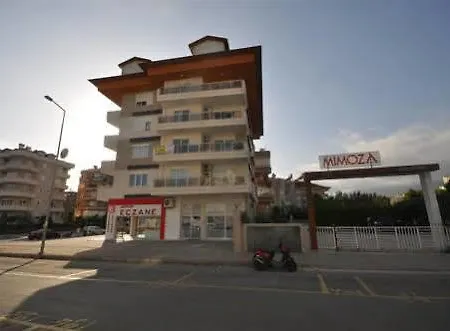 Mimoza ألانيا